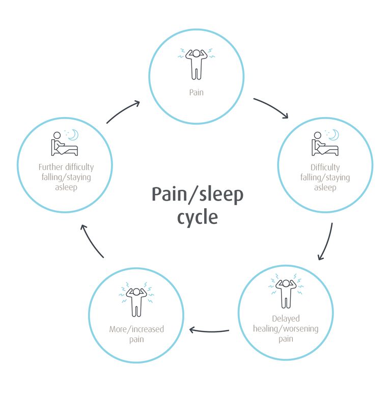 sleep cycle diagram